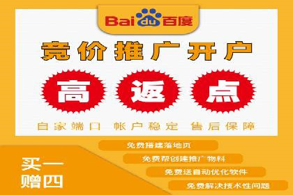 创新引领者：某信息流广告公司的技术突破案例